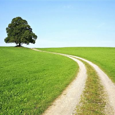 B体育旧版本官网下载苹果