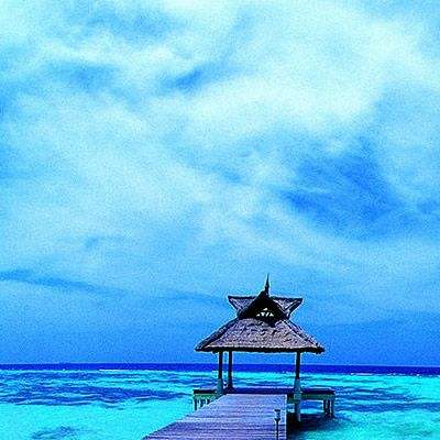 华体育手机app下载