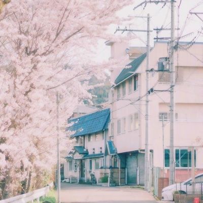 乐鱼平台app下载官网截图