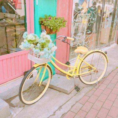 PG麻将胡了免费版手机app下载