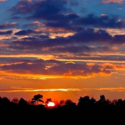 B体育旧版本官网下载苹果